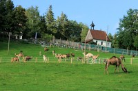 allgaeu_03.jpg