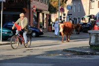 allgaeu_34.jpg