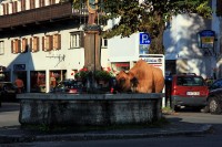 allgaeu_36.jpg
