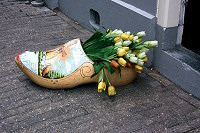 amsterdam_07.jpg