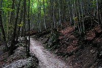 berchtesgaden_17.jpg