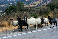 kreta_14.jpg
