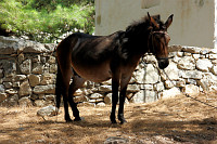 kreta_54.jpg