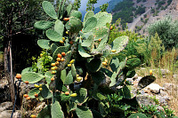 kreta_59.jpg