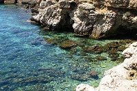 mallorca_03.jpg