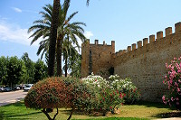 mallorca_25.jpg