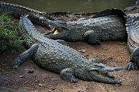 mauritius_11.jpg