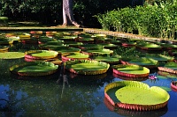 mauritius_13.jpg