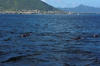 mauritius_16.jpg