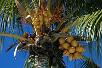 mauritius_2.jpg