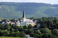 mosel_09.jpg