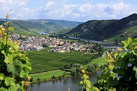 mosel_10.jpg
