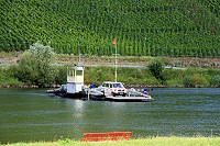 mosel_18.jpg