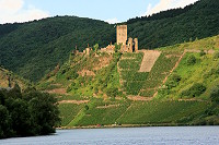 mosel_21.jpg