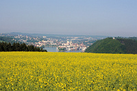 passau_24.jpg